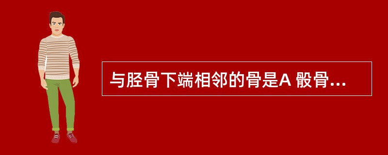 与胫骨下端相邻的骨是A 骰骨 B 中间楔骨 C 足舟骨 D 距骨 E 跟骨 -