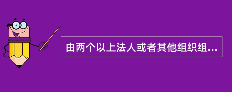 由两个以上法人或者其他组织组成一个联合体参加工程投标的，联合体各方应指定牵头人，