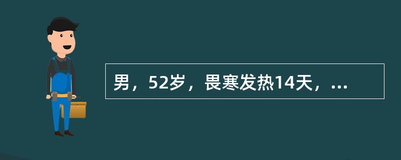 男，52岁，畏寒发热14天，查：体温39．5℃，血压75／50mmHg，右上肢可