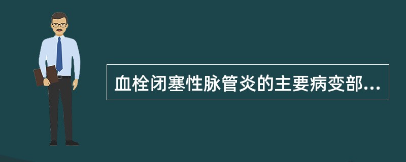 血栓闭塞性脉管炎的主要病变部位是()