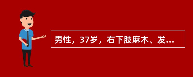 男性，37岁，右下肢麻木、发凉、怕冷1年，每行走约1km需停下休息。查体：右下肢