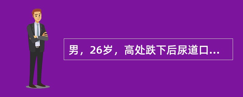 男，26岁，高处跌下后尿道口流血，不能自行排尿，收住院。体检：腹软，无压痛，脐下