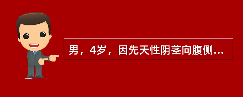 男，4岁，因先天性阴茎向腹侧弯曲，尿道开口位置异常住院，检查见阴茎向腹侧弯曲，尿