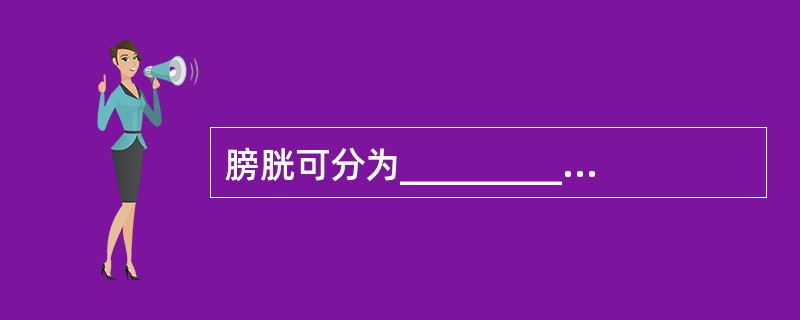 膀胱可分为_________、________、_________和______
