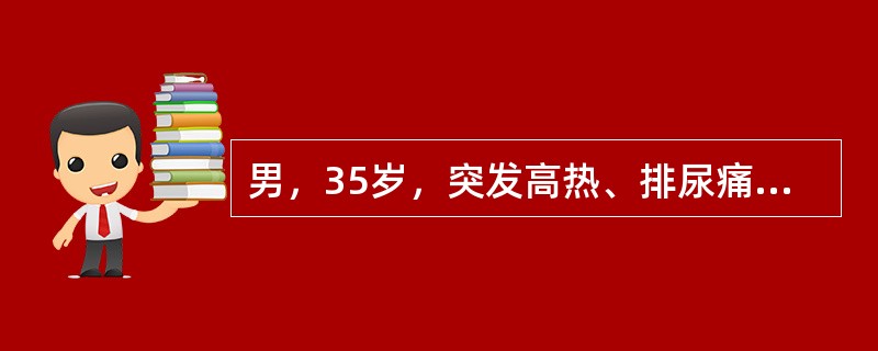 男，35岁，突发高热、排尿痛，会阴部疼痛，排尿困难，尿道口少许稀薄脓性分泌物()