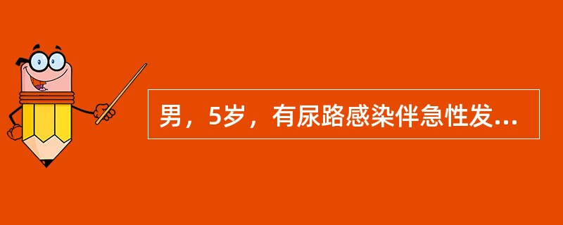 男，5岁，有尿路感染伴急性发热，CT增强扫描如图所示，最可能诊断为()