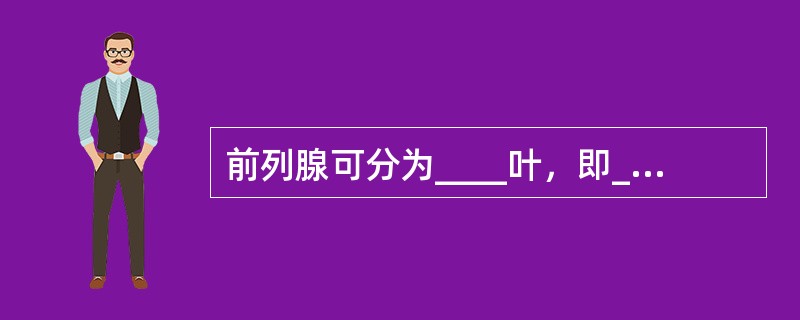 前列腺可分为____叶，即_____、______、______和_______