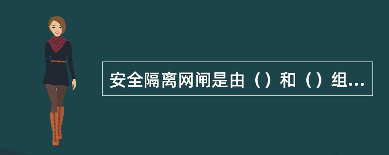 安全隔离网闸是由（）和（）组成。
