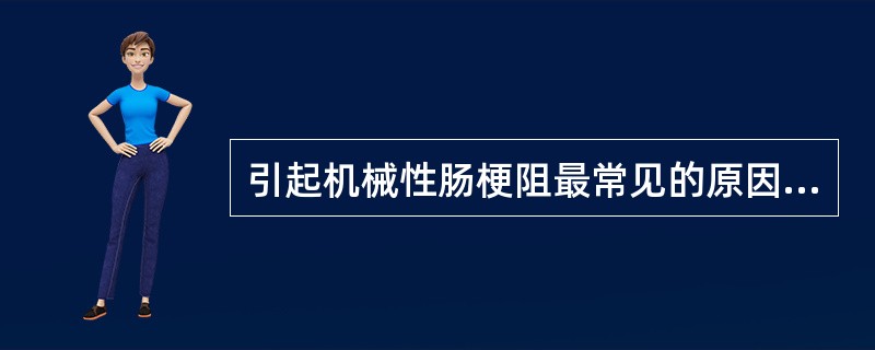 引起机械性肠梗阻最常见的原因是（）