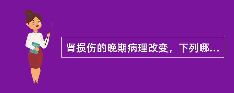 肾损伤的晚期病理改变，下列哪项不正确()