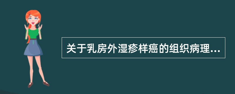 关于乳房外湿疹样癌的组织病理变化叙述正确的是（）