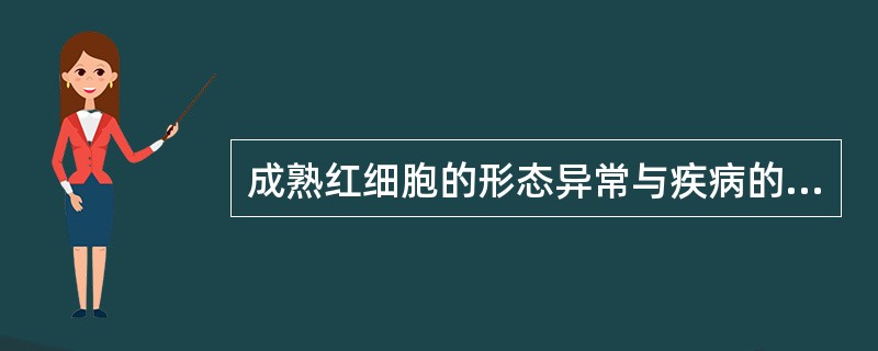 成熟红细胞的形态异常与疾病的关系中，错误的叙述是()