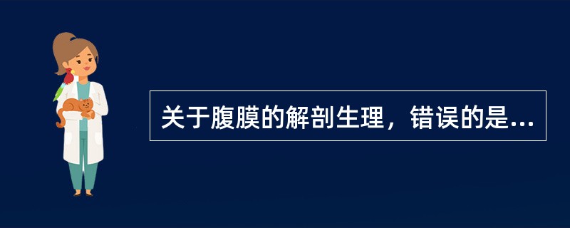 关于腹膜的解剖生理，错误的是（）