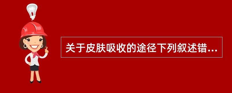 关于皮肤吸收的途径下列叙述错误的是（）