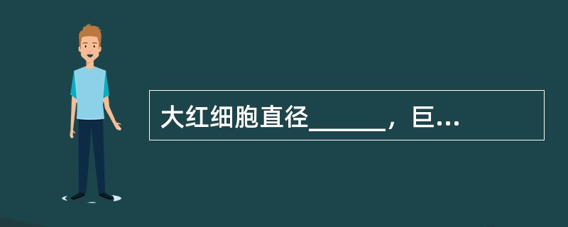 大红细胞直径______，巨红细胞直径_______，常见于______。