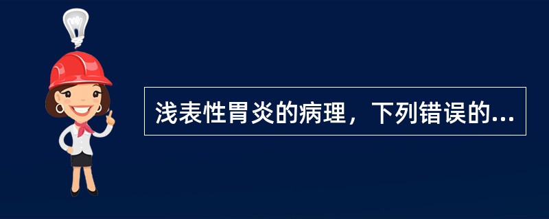 浅表性胃炎的病理，下列错误的是（）