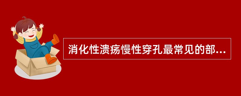 消化性溃疡慢性穿孔最常见的部位是（）