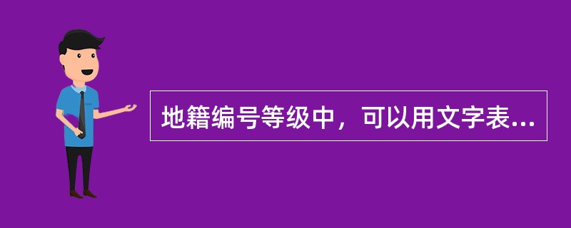 地籍编号等级中，可以用文字表示，也可以用字母和数字表示的是（）。