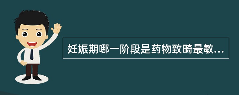 妊娠期哪一阶段是药物致畸最敏感的时期（）