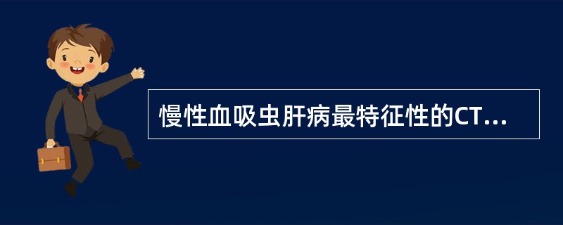 慢性血吸虫肝病最特征性的CT表现是（）