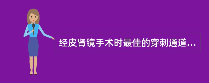 经皮肾镜手术时最佳的穿刺通道应进入（）