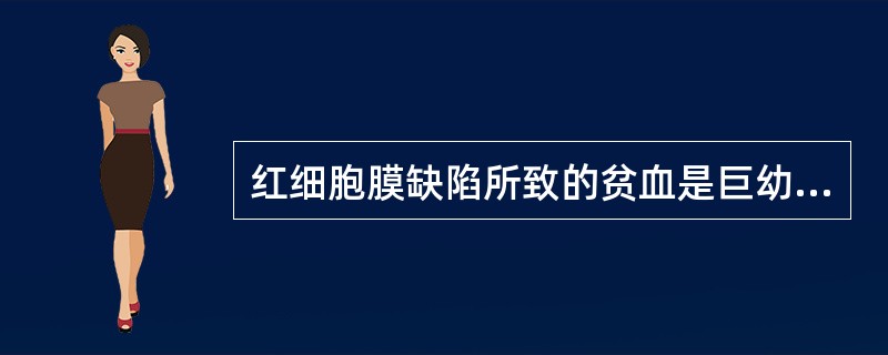 红细胞膜缺陷所致的贫血是巨幼细胞性贫血。()