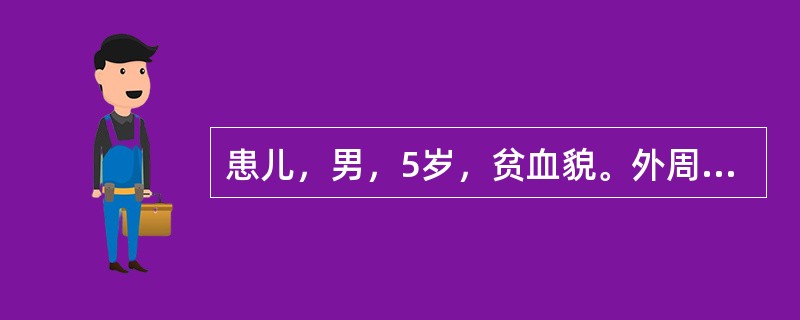 患儿，男，5岁，贫血貌。外周血检查结果：RBC3.5×10/L，HB75g/L，