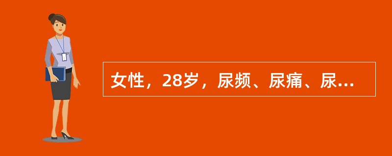 女性，28岁，尿频、尿痛、尿急，肾区叩击痛，尿镜检：白细胞满视野、红细胞10～2