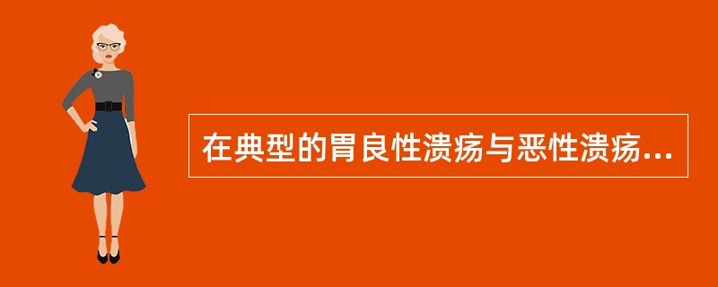 在典型的胃良性溃疡与恶性溃疡鉴别要点中，哪一项是良性溃疡的特征（）