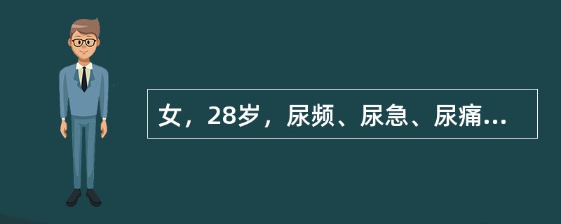 女，28岁，尿频、尿急、尿痛、小腹痛伴终末血尿2天，尿常规许多红、白细胞／HP，