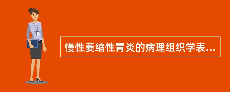 慢性萎缩性胃炎的病理组织学表现包括（）