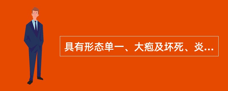 具有形态单一、大疱及坏死、炎症较重表现的是（）