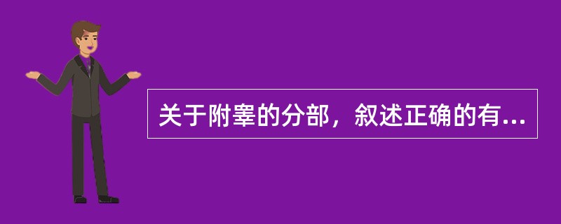 关于附睾的分部，叙述正确的有（）