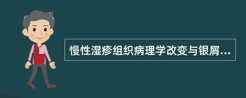 慢性湿疹组织病理学改变与银屑病的关键区别为（）