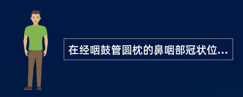 在经咽鼓管圆枕的鼻咽部冠状位SE-T1加权图像所示结构中，以下哪项正确（）