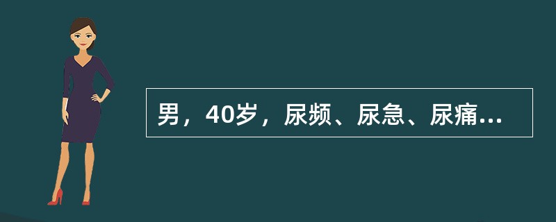 男，40岁，尿频、尿急、尿痛2年，有米汤样尿及终末血尿。尿检：脓细胞（+++），