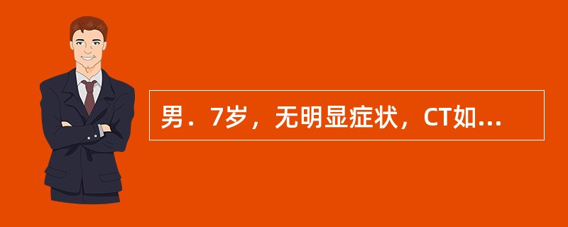 男．7岁，无明显症状，CT如图所示，最可能的诊断是（）