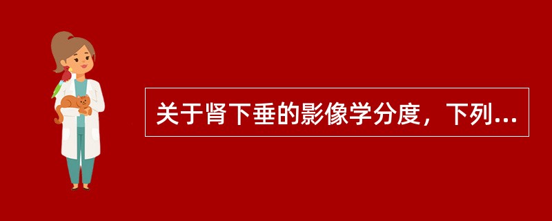 关于肾下垂的影像学分度，下列哪项是错误的（）