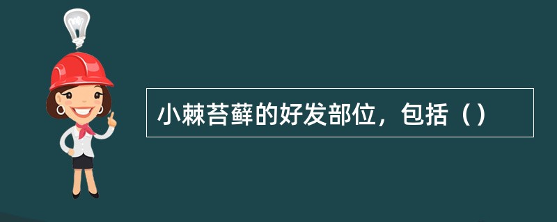 小棘苔藓的好发部位，包括（）