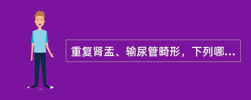 重复肾盂、输尿管畸形，下列哪种叙述不正确（）