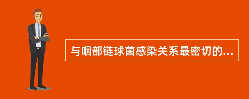 与咽部链球菌感染关系最密切的是（）