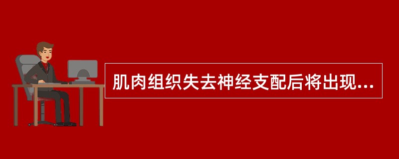 肌肉组织失去神经支配后将出现肌纤维的萎缩。