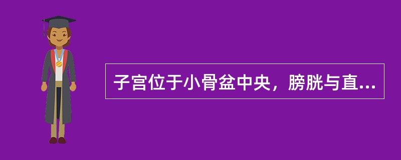 子宫位于小骨盆中央，膀胱与直肠之间，子宫颈下端不低于坐骨棘平面。