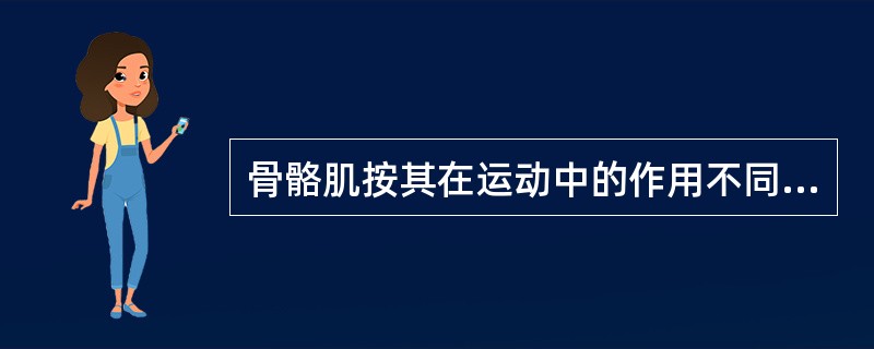 骨骼肌按其在运动中的作用不同而分为______、_____、_____和____