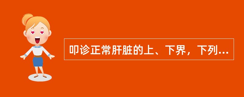 叩诊正常肝脏的上、下界，下列哪项错误（）