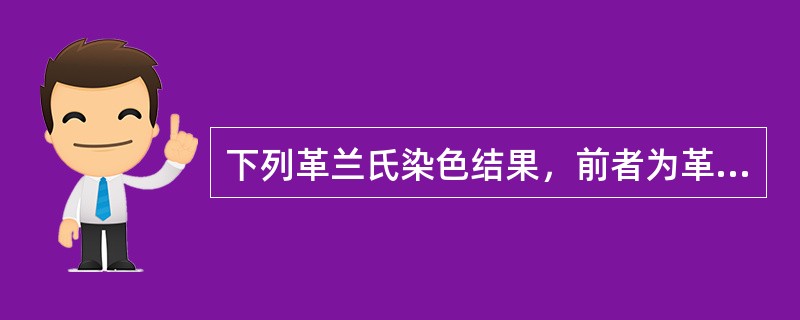 下列革兰氏染色结果，前者为革兰氏阳性菌，后者为革兰氏阴性菌，正确的一组是（）