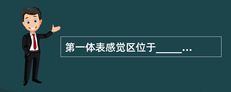 第一体表感觉区位于_______，第二体表感觉区___________。