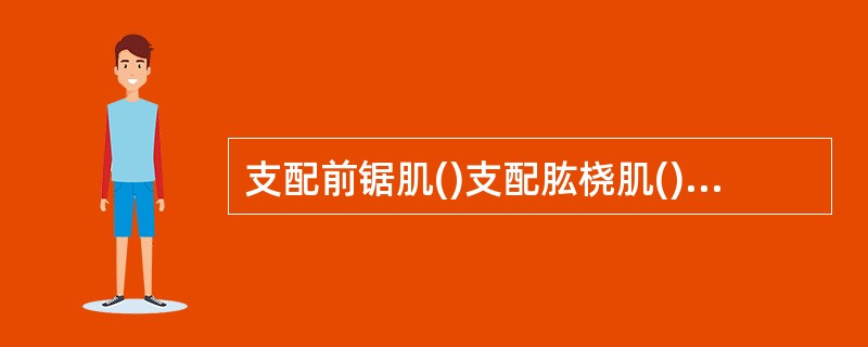 支配前锯肌()支配肱桡肌()支配肱二头肌()支配三角肌()