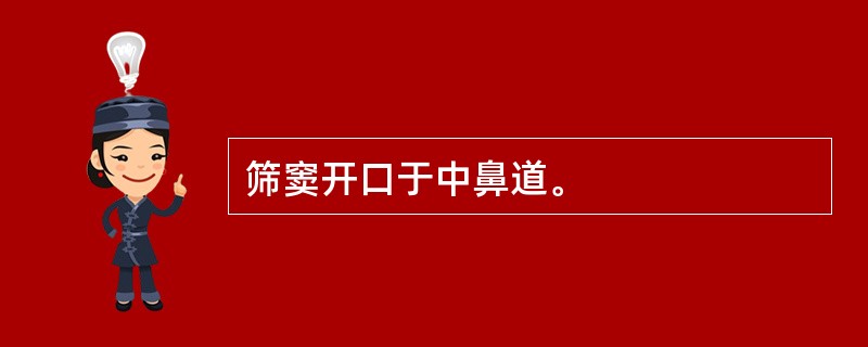 筛窦开口于中鼻道。