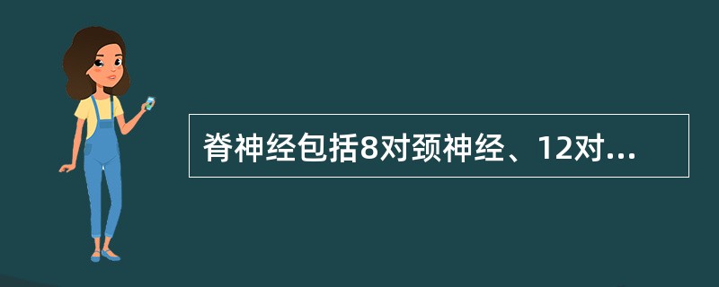 脊神经包括8对颈神经、12对胸神经、5对腰神经、5对骶神经和1对尾神经。